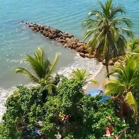 Premium Frente Al Mar Y Playa